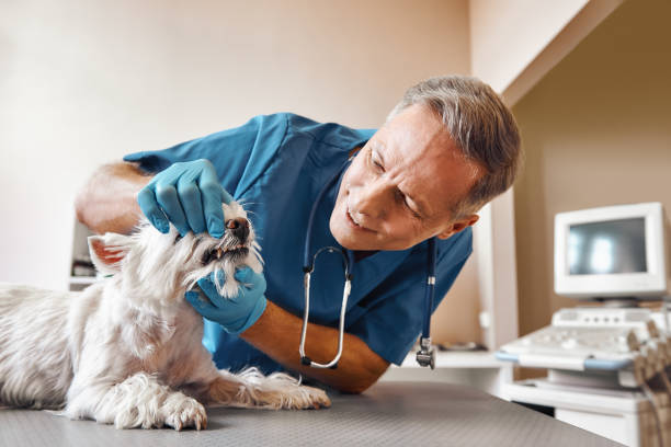 Best Emergency Tooth Extraction in Cape Canaveral, FL
